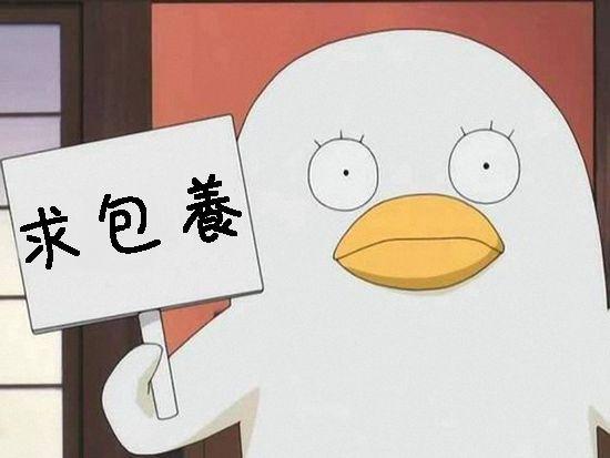 日本動漫迷投票「銀魂」里最喜歡的人物，第一名跟你想的不一樣 動漫 第5張