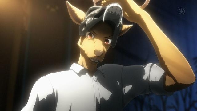 描繪具有現實感的動物角色 –系列構成樋口七海談《BEASTARS》 動漫 第3張