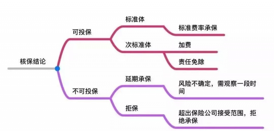 文文大大保貝兒·帶病投保指南：有甲狀腺類的疾病，怎麼買保險？ 財經 第11張