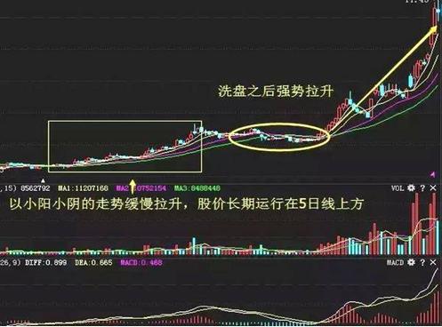 強勢牛股啟動前，個股城市呈現這7種旗幟暗號，很多散戶渾然不知，必定要記住！ 財經 第3張