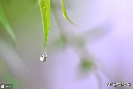 一天一首古詩詞 | 唐詩，杜甫《春夜喜雨》 戲劇 第1張