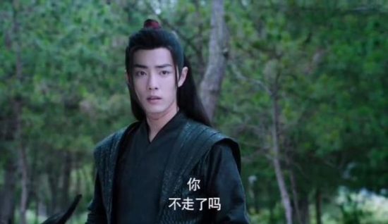 《陳情令》HE結局，魏嬰：你不走了嗎？藍湛帶魏嬰歸隱，琴簫合奏 戲劇 第2張