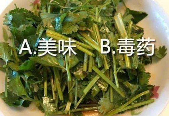 中國「爭議」最大的4種美食，正宗的吃貨表示：我全都要 美食 第1張