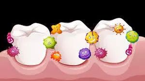 針對牙齦疾病細菌的新型阿爾茨海默病治療方法 健康 第1張