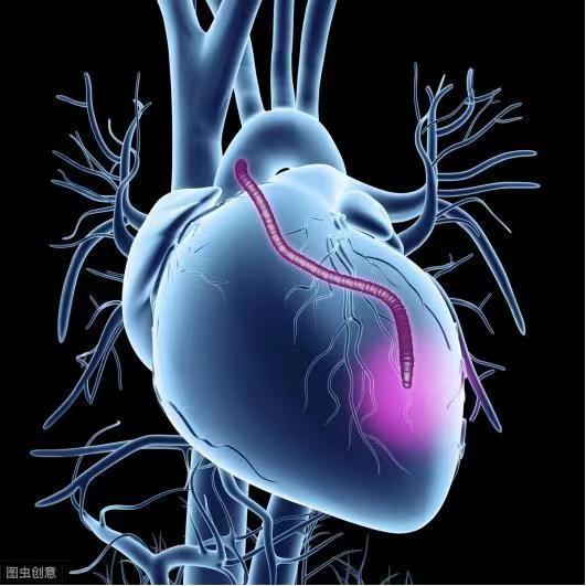 無論男女，45歲後，若能經過這3個「考驗」，說明心臟跳動有力 健康 第1張