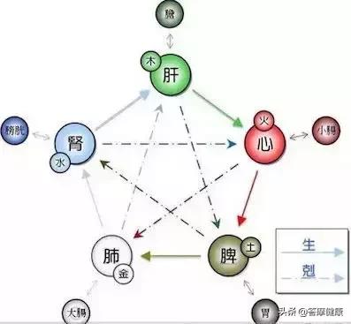 脾不好？五臟跟著都遭殃！養脾妙招來幫你 健康 第1張