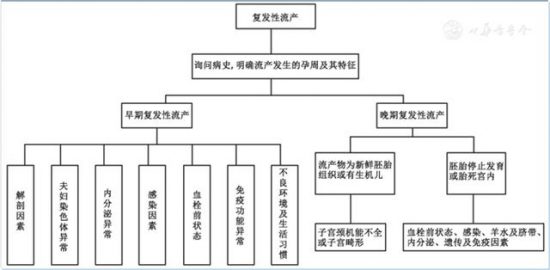 婦科醫生曝光流產真相！到底是什麼剝奪了你成為母親的權利？ 健康 第1張