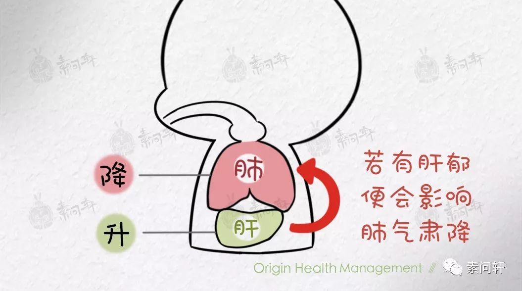 醫案：秋意濃，鼻炎濃，正在發鼻炎的朋友看過來！ 健康 第5張