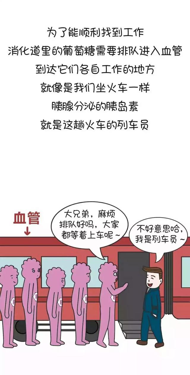 糖尿病檢查/終於搞懂了，糖尿病原來是這麼回事 汪醫師產文 第3張