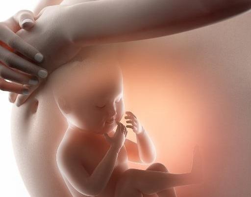 懷胎十月，胎兒在子宮裡，除了睡覺吃飯，還有哪些「業餘活動」？ 未分類 第4張