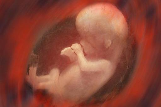 胎兒大小和孕媽食量，關係可能並不大，五個決定因素，可要早知道 未分類 第1張