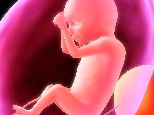 懷胎十月，胎兒在子宮裡，除了睡覺吃飯，還有哪些「業餘活動」？ 未分類 第3張