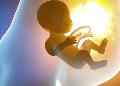 懷胎十月，胎兒在子宮裡，除了睡覺吃飯，還有哪些「業餘活動」？ 未分類 第1張