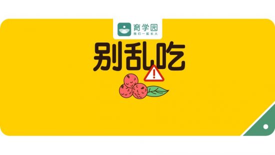 男童吃荔枝「中毒」！夏天這些水果再好吃也不能亂吃！ 親子 第1張