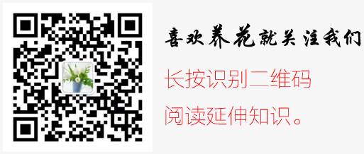 春天雨水多，但這五種花堅決不能淋雨，越淋雨越容易死！ 家居 第14張