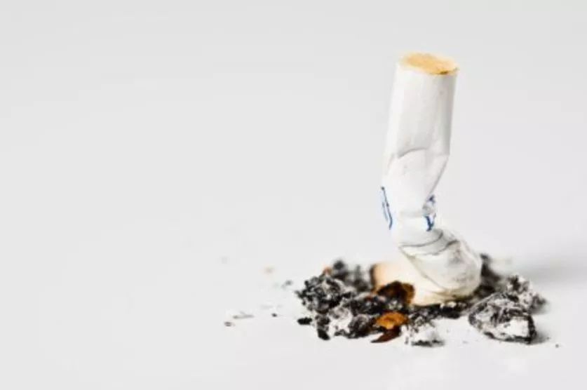 抽煙有害健康，但抽完的煙頭其實可以加以利用？ 家居 第2張