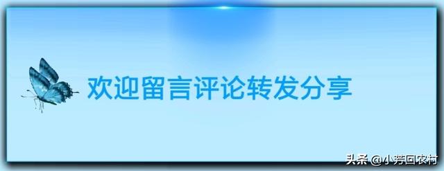 約會大作戰  有一種幸福叫，做不了夫妻，卻深深掛念 情感 第4張