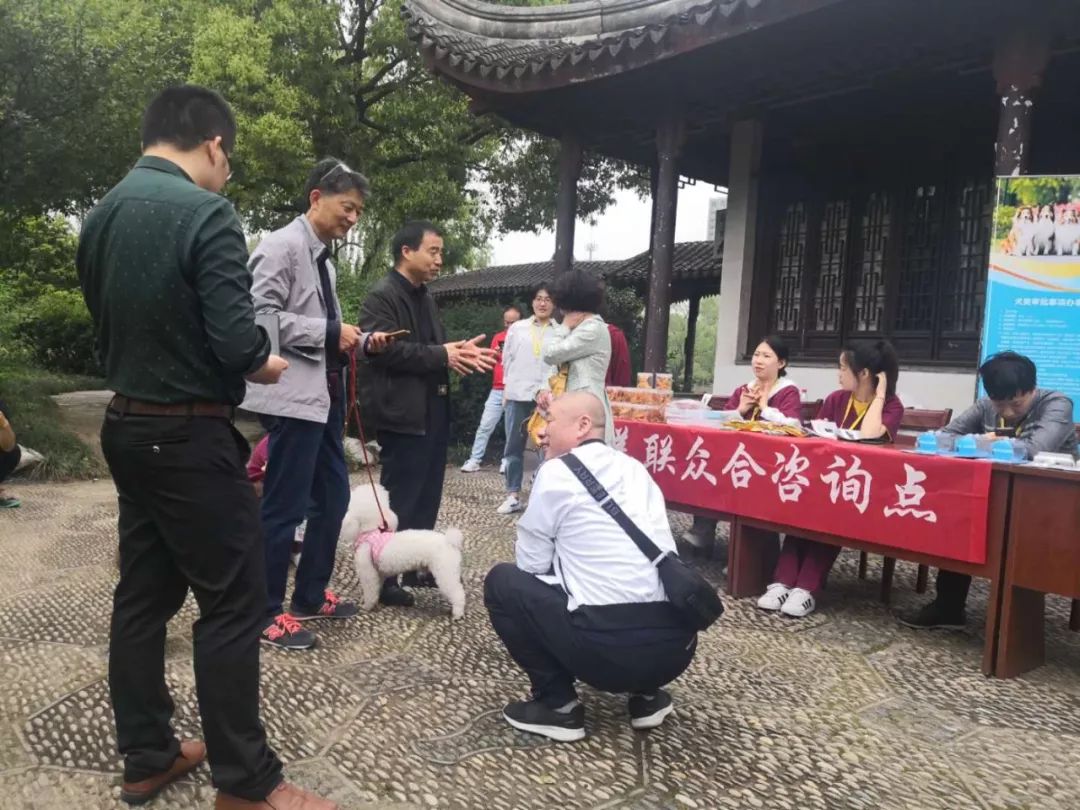 杭州首批三個公共遛狗區試點開放，分別在拱墅康橋、餘杭和錢塘新區 未分類 第4張