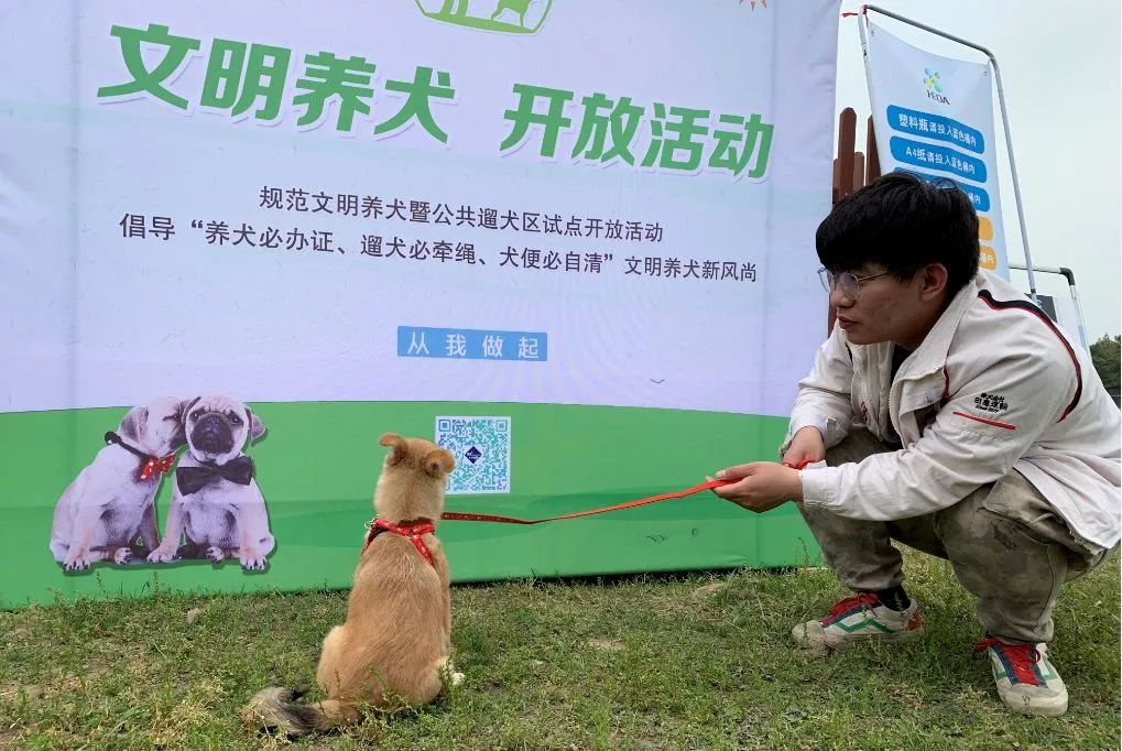 杭州首批三個公共遛狗區試點開放，分別在拱墅康橋、餘杭和錢塘新區 未分類 第13張
