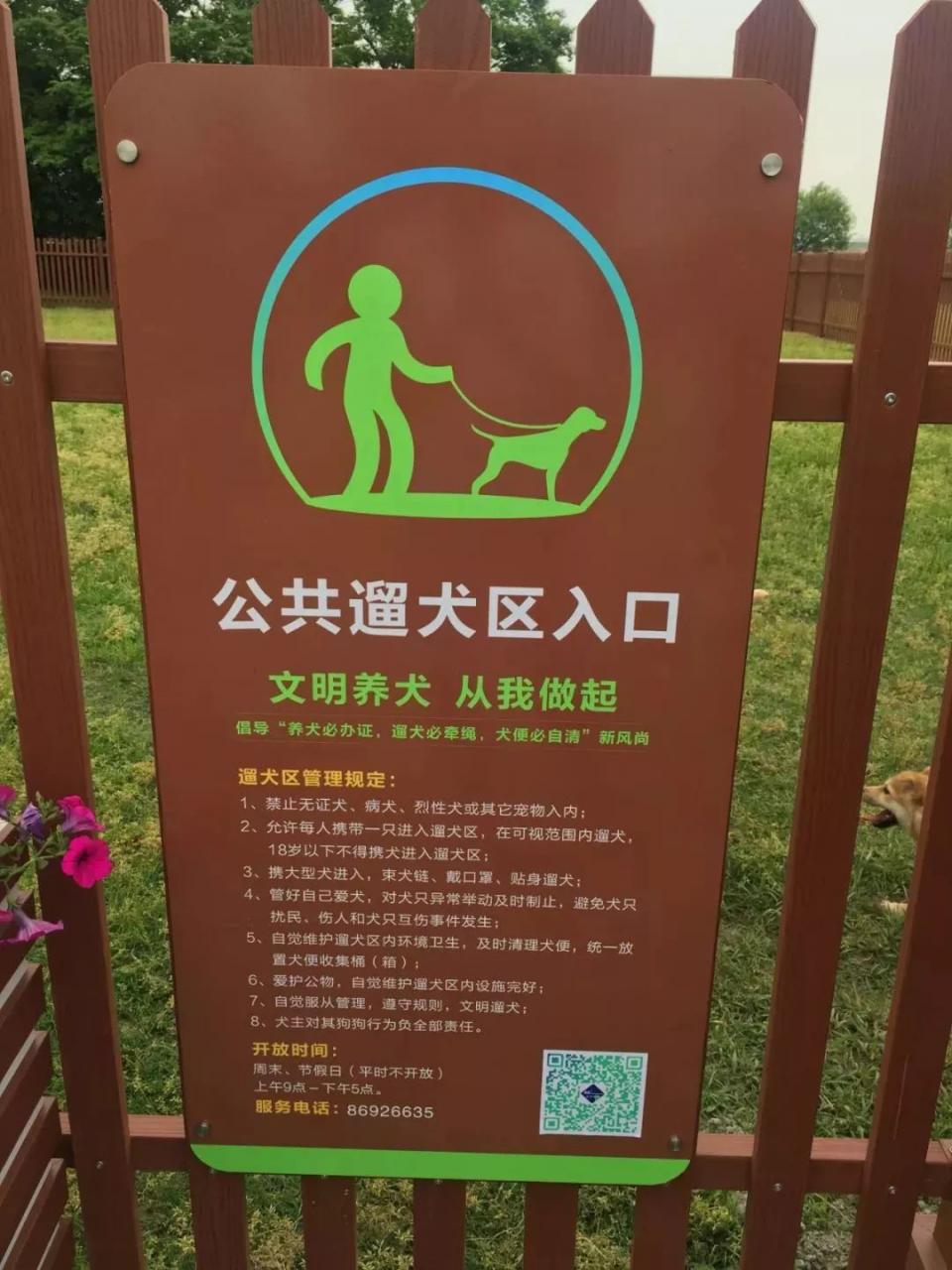 杭州首批三個公共遛狗區試點開放，分別在拱墅康橋、餘杭和錢塘新區 未分類 第19張