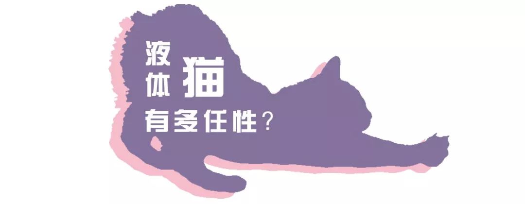 液體貓可以拉多長？ 寵物 第7張