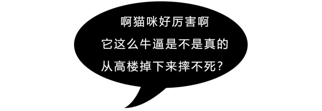 液體貓可以拉多長？ 寵物 第34張