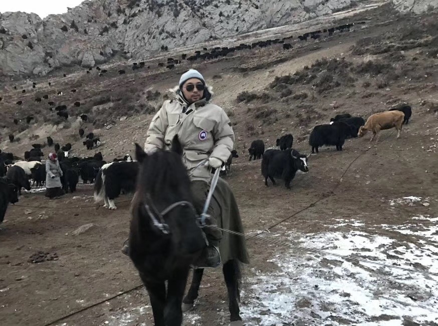 愚人節那天 他在牧民家裡第一次看到了雪豹 寵物 第1張