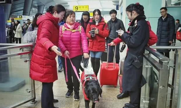 世界導盲犬日：它們值得更多的理解與尊重！ 寵物 第2張