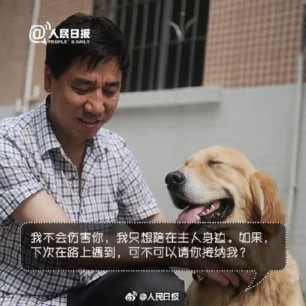 世界導盲犬日：它們值得更多的理解與尊重！ 寵物 第21張