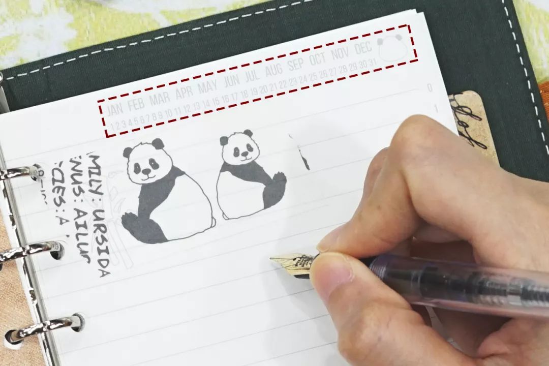 大熊貓這麼可愛，竟然是因為吃竹子？丨好物推薦 寵物 第15張