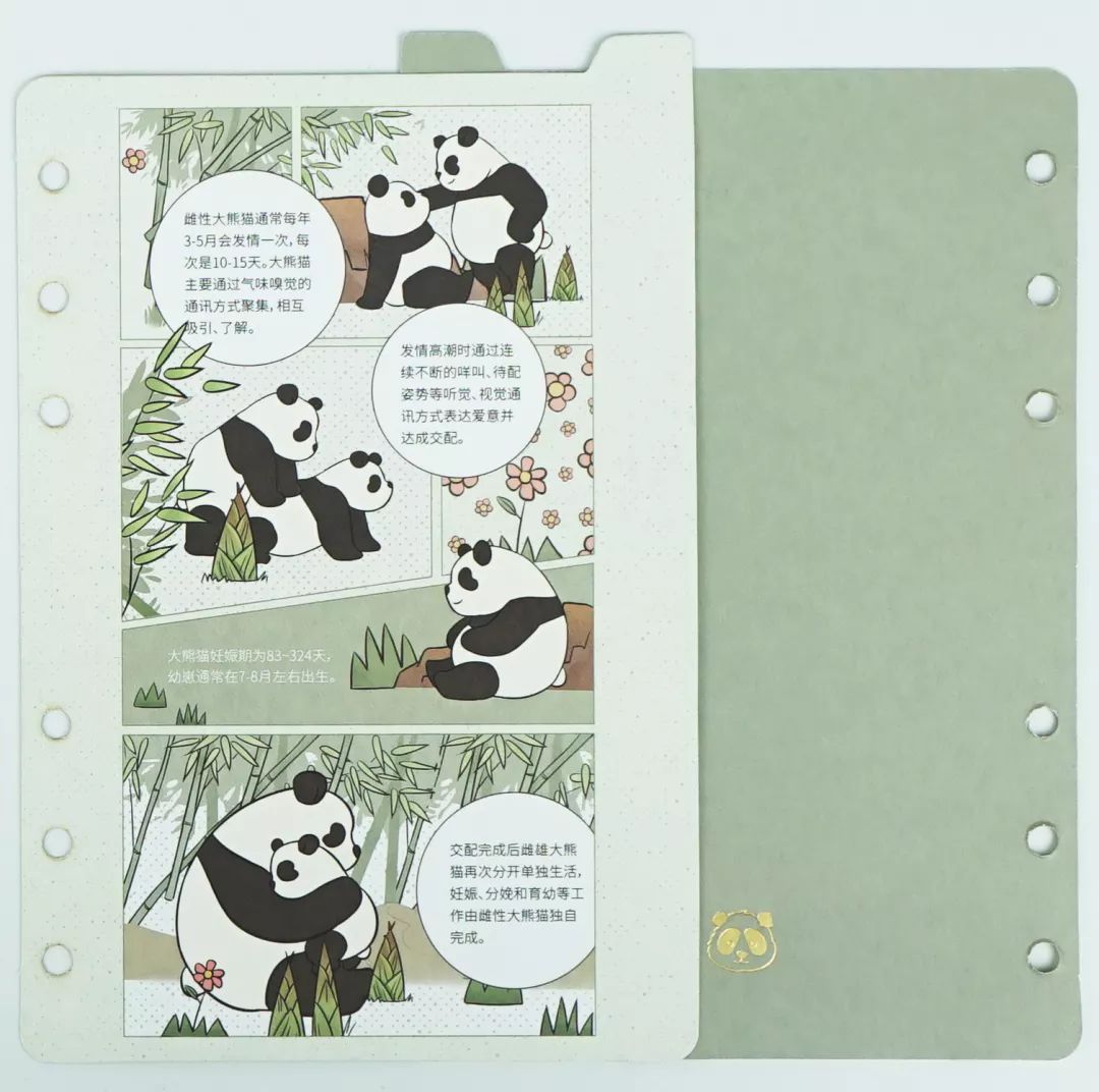 大熊貓這麼可愛，竟然是因為吃竹子？丨好物推薦 寵物 第7張