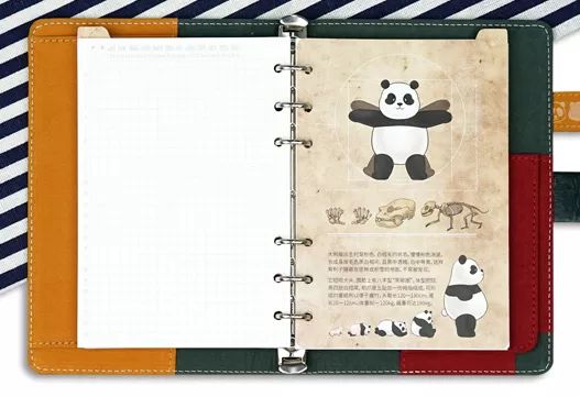 大熊貓這麼可愛，竟然是因為吃竹子？丨好物推薦 寵物 第9張
