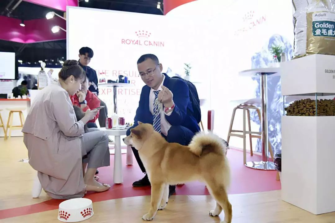@全體鏟屎官！世界盃犬展首次來到上海，汪星人最愛的竟是TA 未分類 第17張