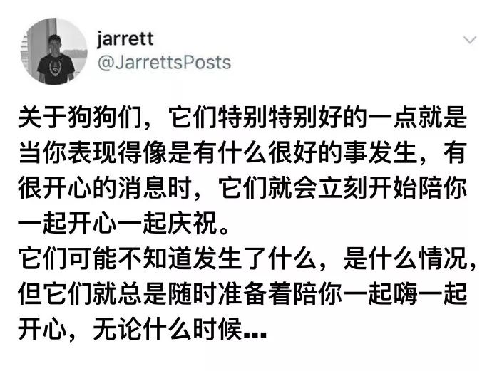 狗狗把你看的有多重要？你真的很難想像！ 寵物 第2張