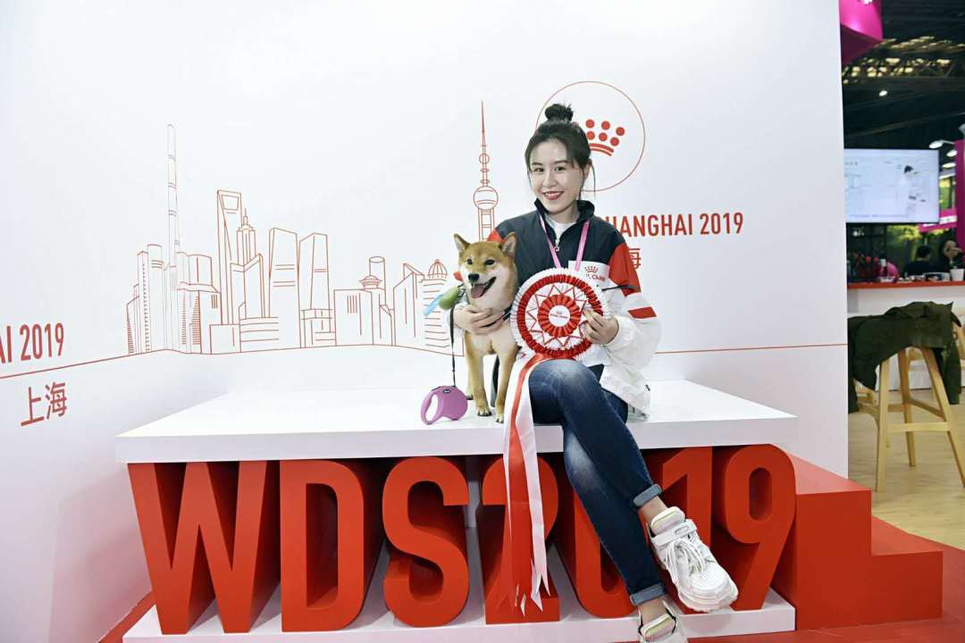 @全體鏟屎官！世界盃犬展首次來到上海，汪星人最愛的竟是TA 未分類 第33張