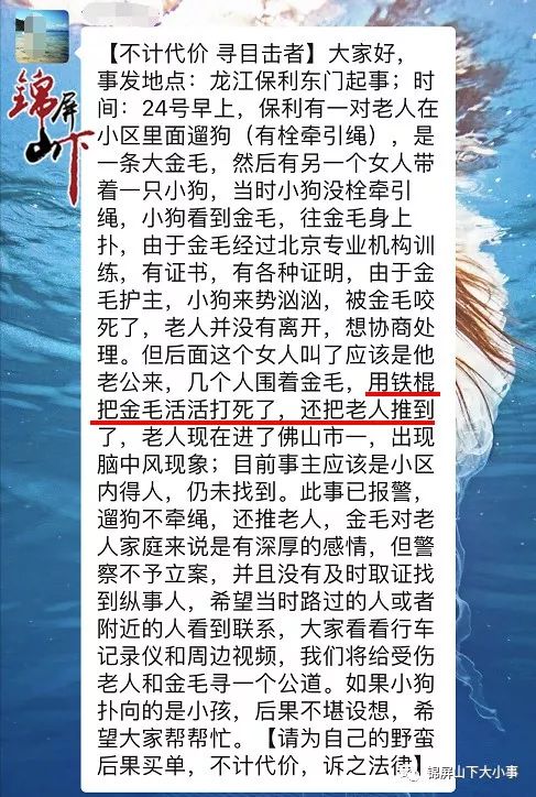 金毛犬慘遭活活打死、70歲老人被打傷入院，主人盼望你幫他找回正義！ 寵物 第1張