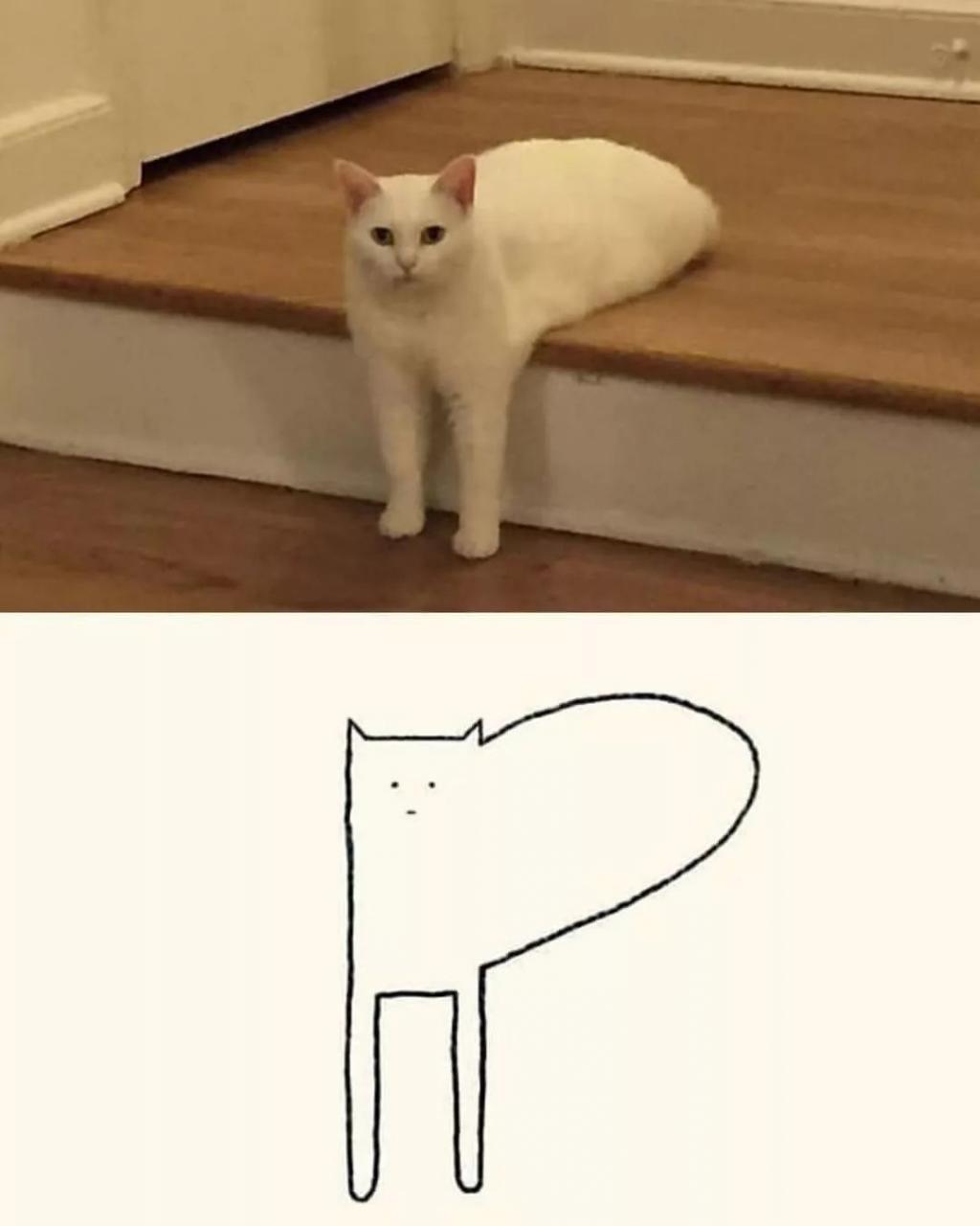 如何畫一隻貓？ 寵物 第1張