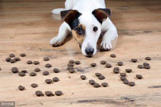 寵物犬肝臟出了問題怎麼辦，各位飼養者你們知道嗎？ 寵物 第1張