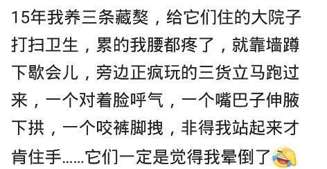 你有養過哪些成了「精」的寵物？網友：自己咬我爹褲管往獸醫站拉 寵物 第1張