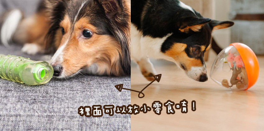 【寵物玩具】狗狗抗憂鬱!!玩具總動員!! 寵兒共和國 第2張