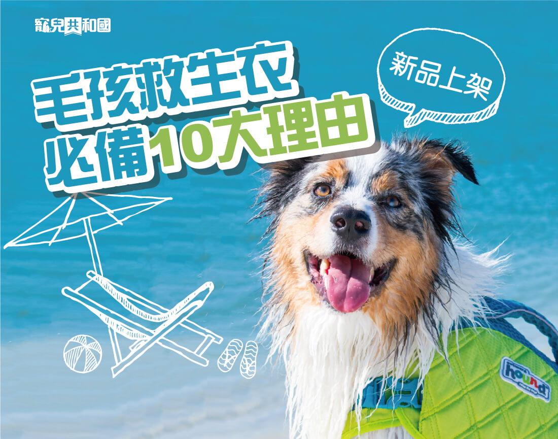 【狗狗游泳】十個買狗狗專用救生衣/泳衣的理由！ 未分類 第1張