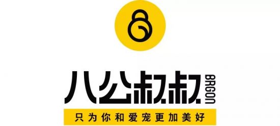 今日最暖！失明大金毛有了「導盲犬」，一起走遍天涯海角！ 寵物 第1張