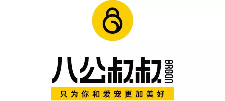 「自從養了它，我就再也不敢在家偷偷拆零食了！」 寵物 第1張