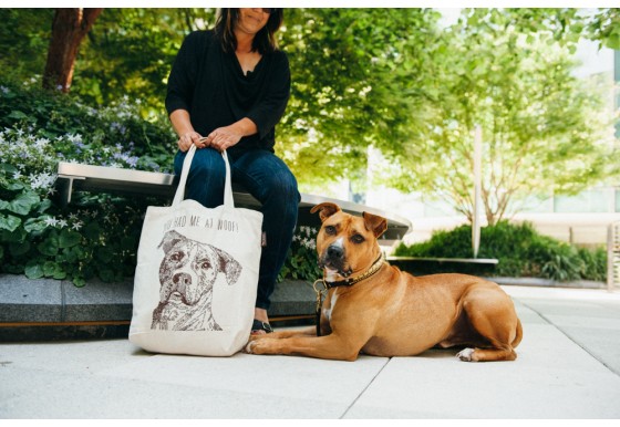 【環保必備品】美國知名設計師為寵物設計的手提袋！ 未分類 第1張