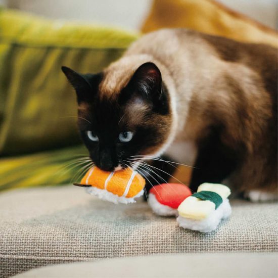 【寵物貓玩具推薦】貓咪一次就愛上！貓貓的專屬玩具~ 未分類 第2張