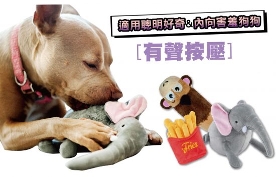【狗狗玩具箱】毛孩玩樂性格盤點~ 寵兒共和國 第8張