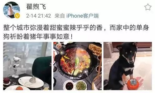 佟麗婭出軌雷佳音石錘了？！ 娛樂 第37張