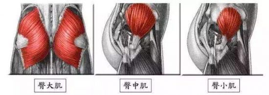 男人們夢寐以求的「事業線」：擁有它立即魅力x10 娛樂 第10張