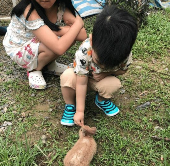 陳妍希曬全家福給老公陳曉慶生，2歲兒子的一個細節引人注意 娛樂 第4張