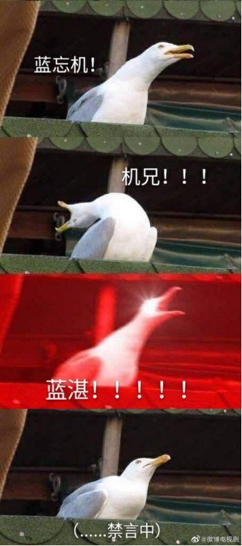 讓觀眾開心「磕糖」，認真「產糧」，《陳情令》怎麼做到的？ 娛樂 第5張